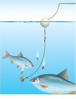 Pescuit - pescuit-crap-la-suprafata.jpg